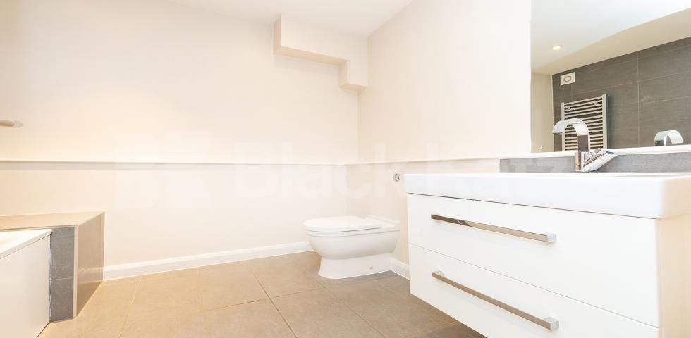 			VIRTUAL TOUR AVAILABLE!, 3 Bedroom, 1 bath, 1 reception Apartment			 Dove Road, CANONBURY-ISLINGTON